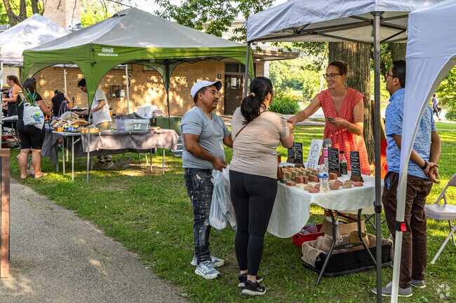 You never know what you'll find at Jackson Park's farmer's market.