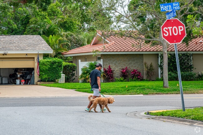 Residents in Morningside enjoy walking their dogs daily on the well shaded streets.