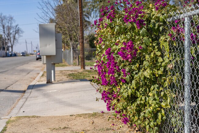 Blooming flowers on a fence in Casa Loma adds color and beauty to the neighborhood.