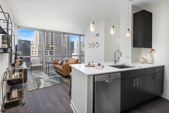 455 N New St, Chicago, IL 60611 - photo 5