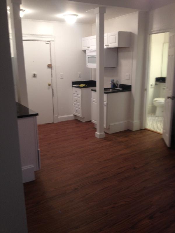 55 Hemenway St unit 12A, Boston, MA 02115 - photo 3