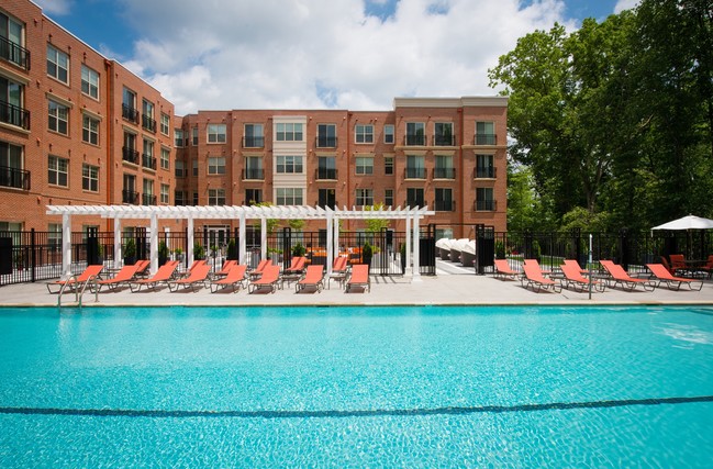 Saline Pool