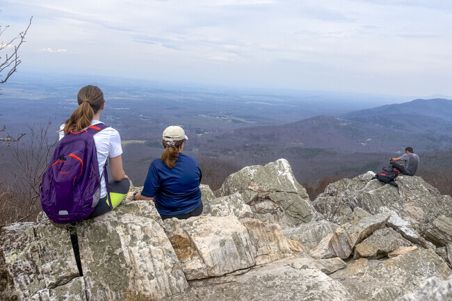 Not far from Hollins is the Appalachian trail and breathtaking views at Shenandoah National Park.
