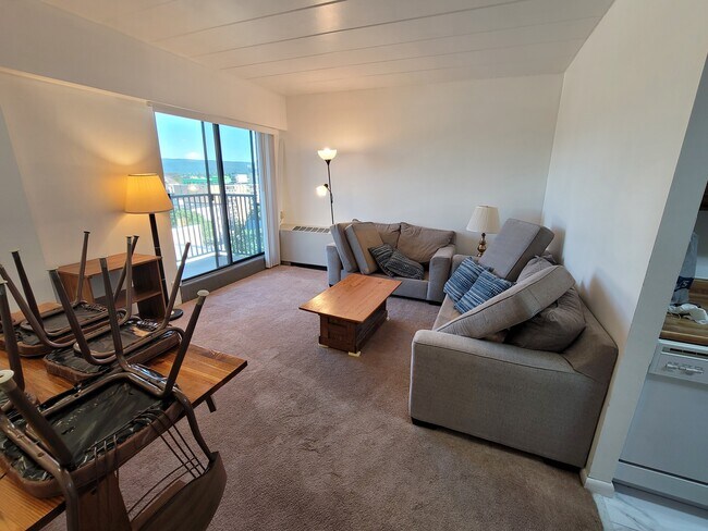 255 E Beaver Ave unit 1207, State College, PA 16801 - photo 5