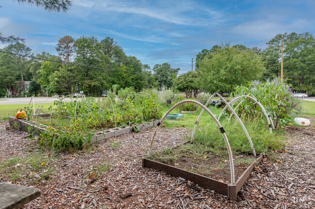 Garden at Ruby F Carver Elementary School for children to watch their plants grow.