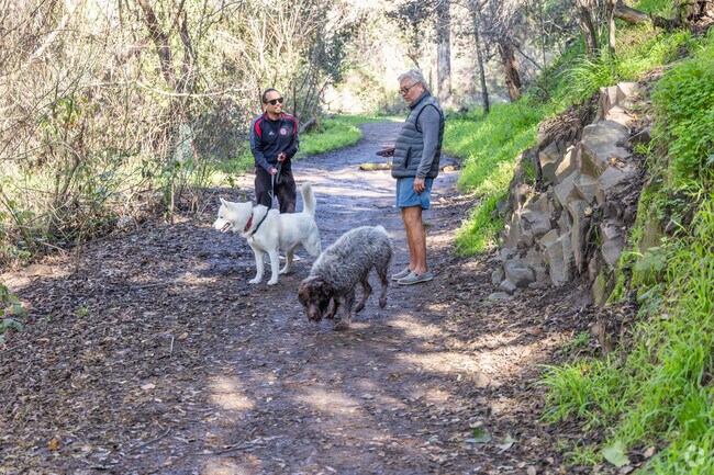 Friends love to gather on the canyon trail below Oakmore and catch up.