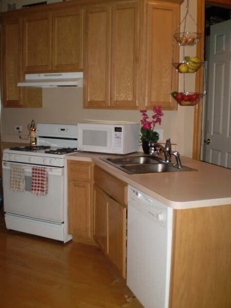 209 Stephen St unit B, Lemont, IL 60439 - photo 2