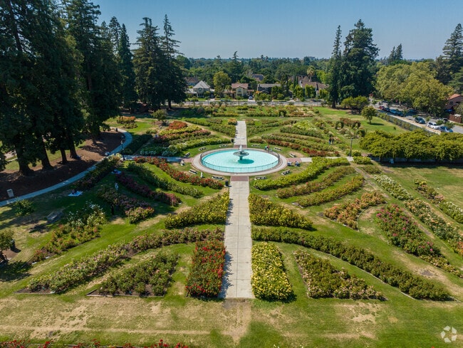 The Municipal Rose Garden Near The Cory Neighborhood.