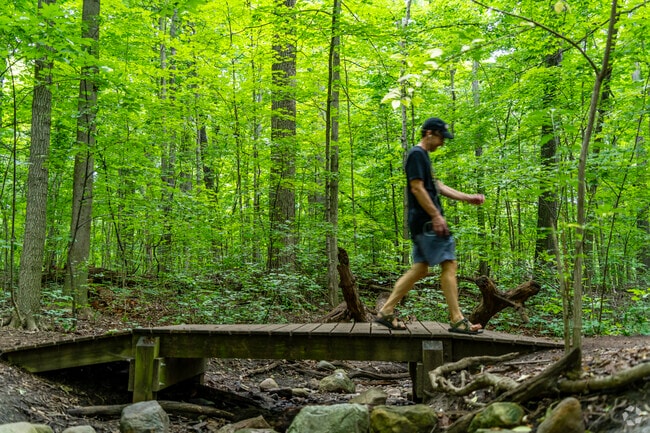 Eberwhite Woods ranks as one of the more ecologically interesting sites in Ann Arbor.