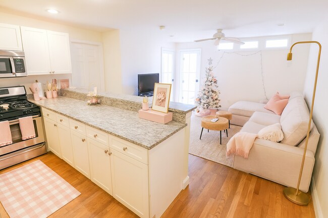 56 Egmont St unit 6, Brookline, MA 02446 - photo 2