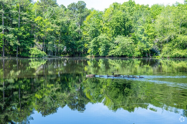 Residents enjoy watching the wildlife on the lake in Eastland-Wilora Lake.