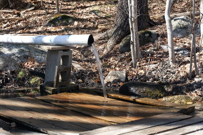 Newfield has a mountain spring that only the locals know about.