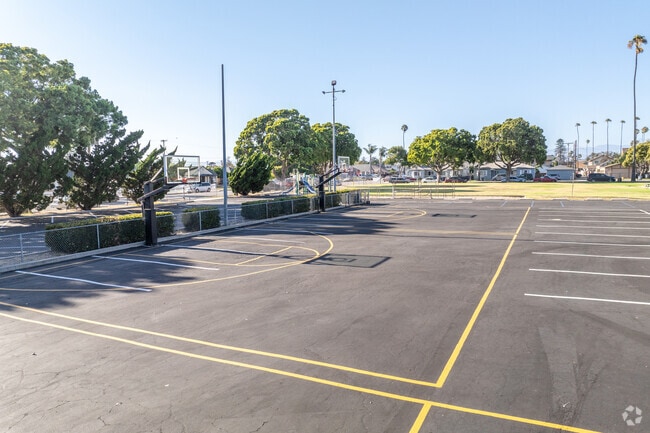 New Harvest Christian School serves 40+ students yearly.