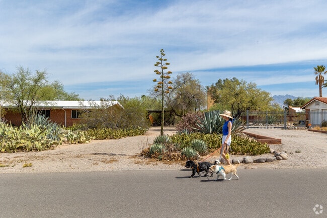 Colonia Solana is a highly desired neighborhood with a favorable walking score in the heart of Midtown Tucson.