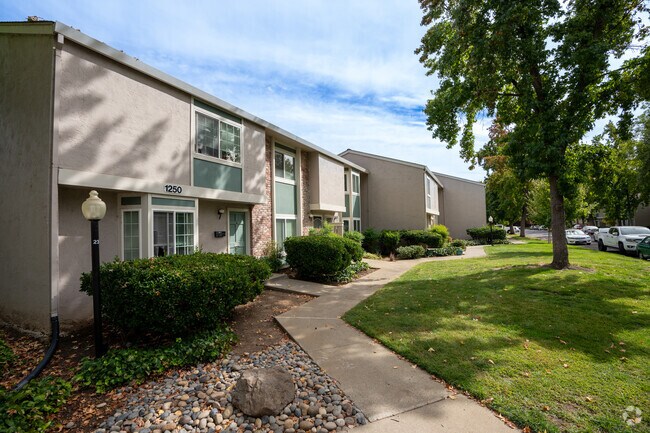 Princess Park has an abundance of condominiums.