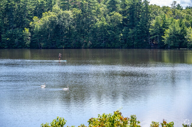 Paddleboards and kayaks are common sights on Lake Rico.