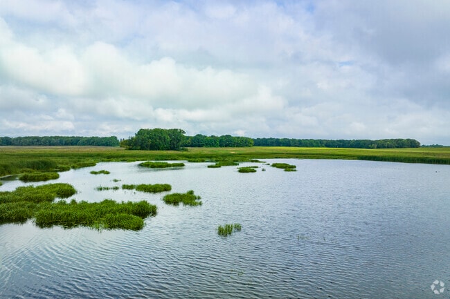 The Heron rookery at the Paul Douglas Nature Preserve.