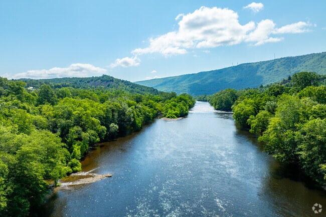 Aerial view of the Lehigh River winding through summer greenery near Bowmanstown, Pennsylvania.