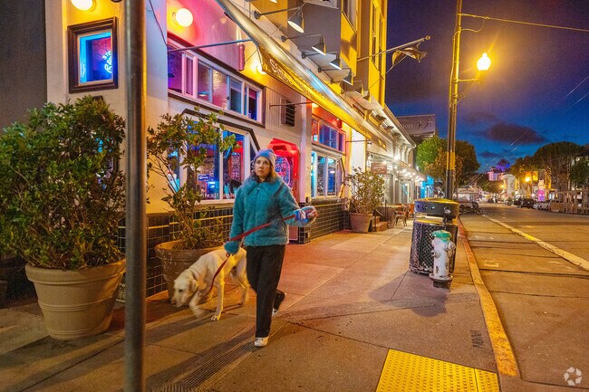 Cow Hollow residents feel safe to walk their furry friends at any time of night on Union St.
