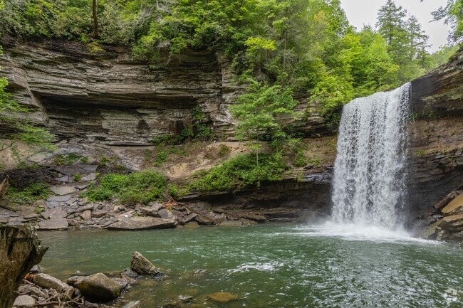 Greeter Falls is a favorite spot for swimming and hiking in Savage Gulf State Park.