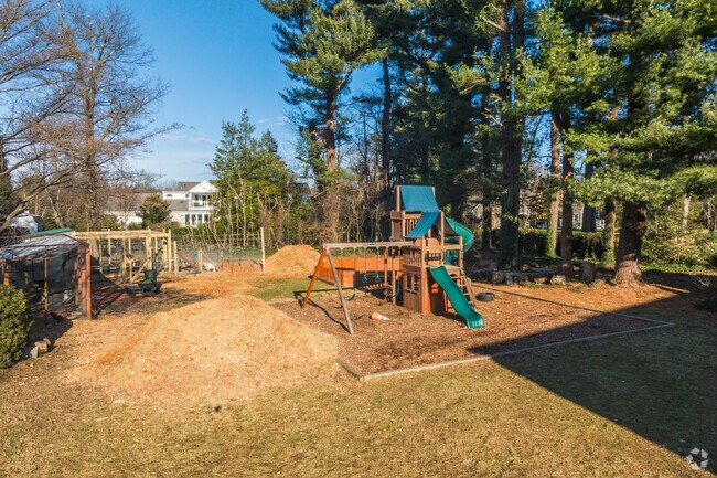 Nurturing curiosity and exploration at Montessori Seeds of Education.