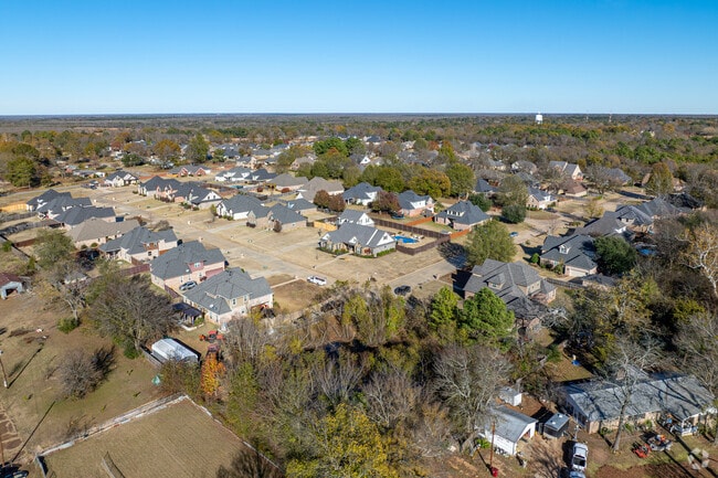 Reno, TX neighborhoods mix newer builds with mature trees.