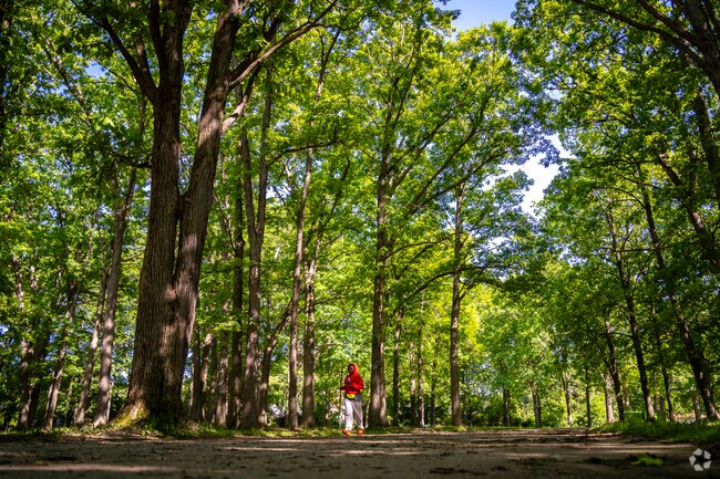 Bring your kids to Max Brandon Park for an afternoon hike.