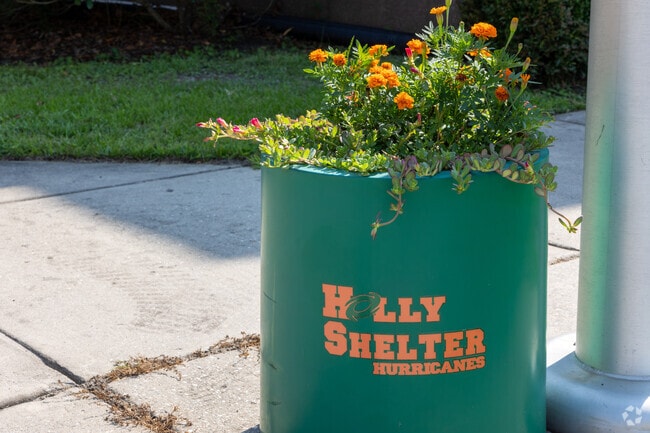 Residents appreciate the calm streets and family-friendly vibe surrounding Holly Shelter Middle.