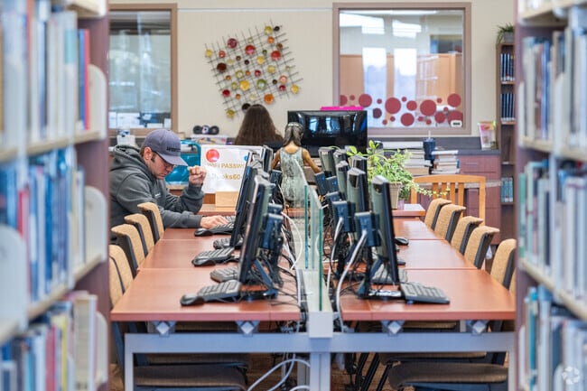 Homer Township Public Library offers residents free access to Wi-Fi and computers.