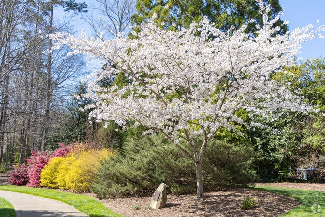 Hamilton Forest's Tanger Garden blooms with spring's vibrant palette.