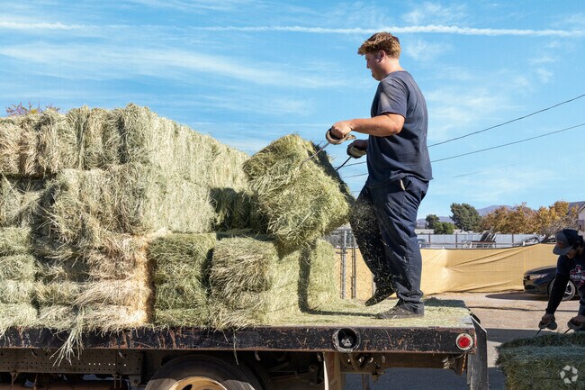 For quality pet and livestock supplies, visit Carter's Hay & Grain, near Eucalyptus Hills.