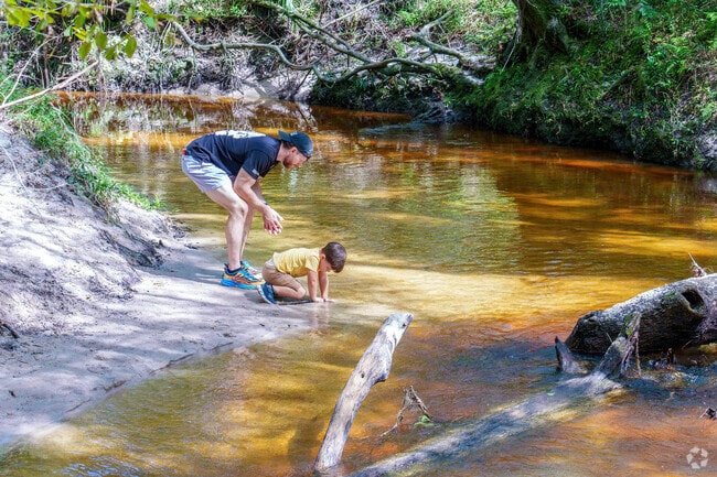 A Black Acres father and son enjoy playing in Loblolly Woods Nature Park's creek.