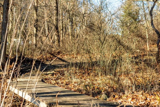 Bedford Reservation in Walton Hills have lots of trails for avid hikers or casual walkers,