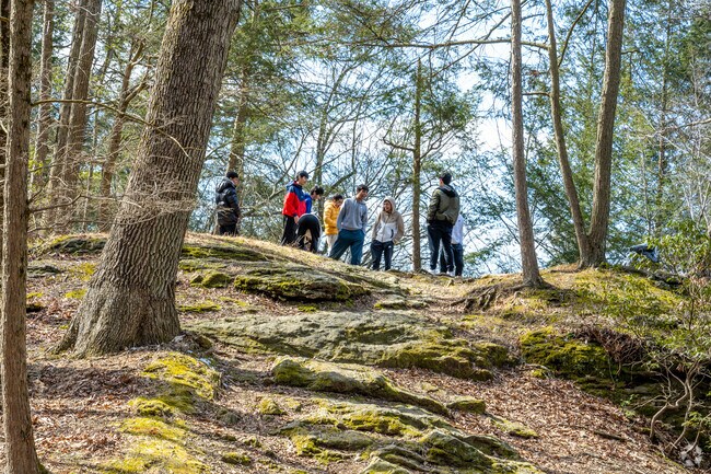 Hikers explore certain areas along the Pennypack Trail in Rockledge, a hidden spot for climbing and adventure.