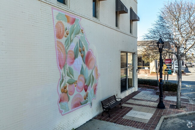 Lovely murals can be found throughout downtown Douglas.