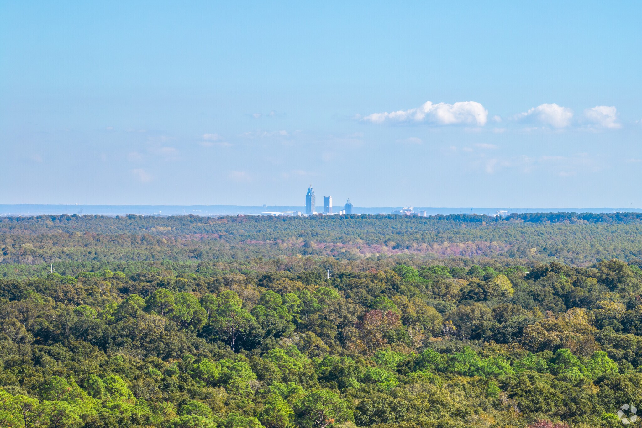 Westavia is not far from downtown Mobile.