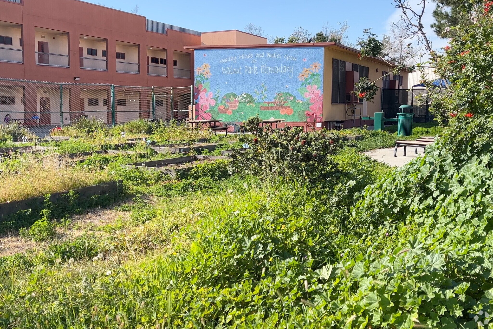 Walnut Park Elementary has a school garden for students to enjoy.