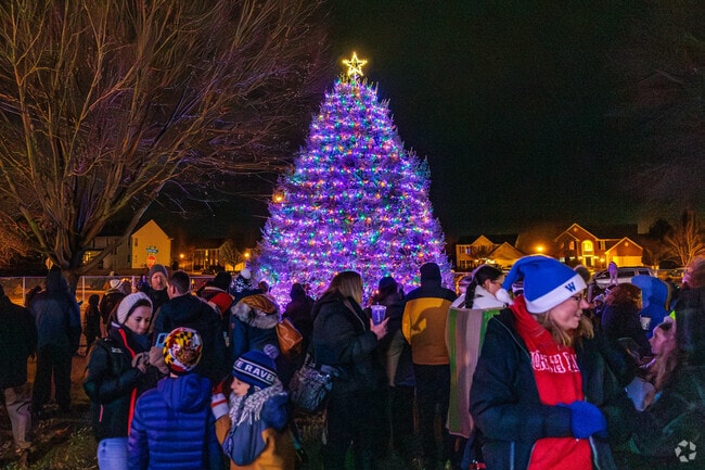 The whole town comes out for the Walkersville Christmas Tree Lighting each season.