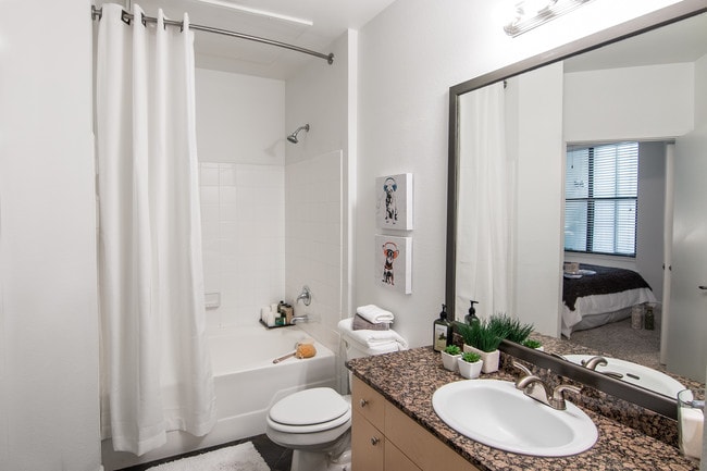 The Montrose, Dallas, TX 75204 - photo 6