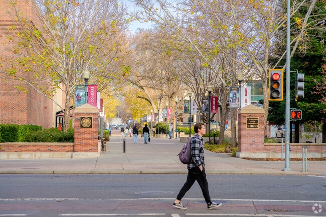Students walk through Chico State University to get to classes.