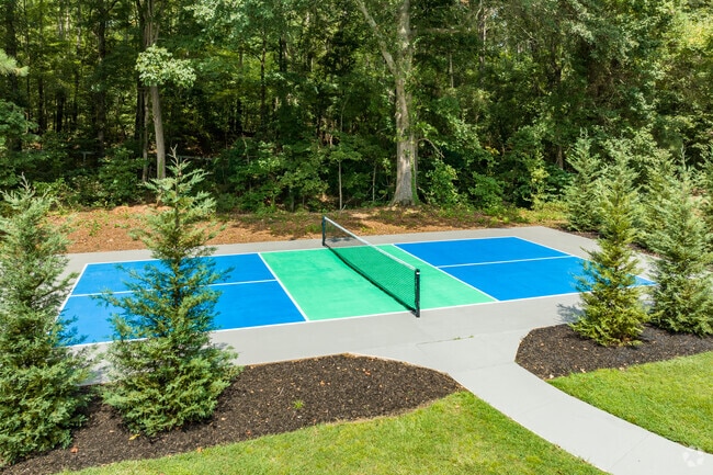 Pickelball Court