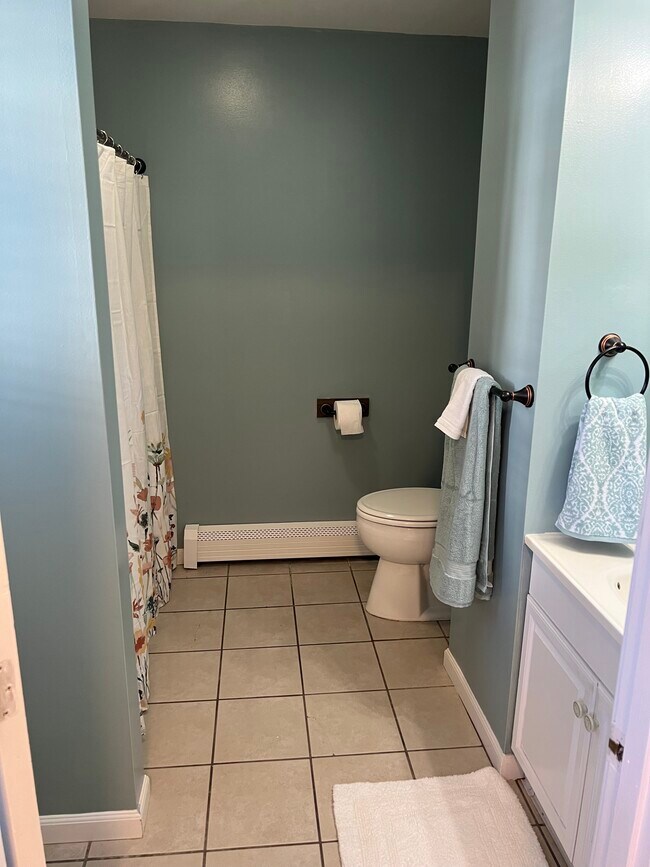 329 Turner St unit Downstairs Unit, Auburn, ME 04210 - photo 6