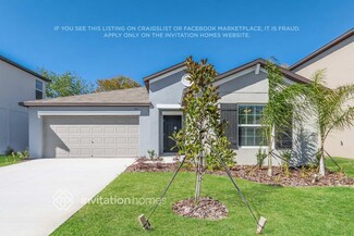 347 Rain Lily Ave, Spring Hill, FL 34609