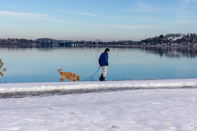 A local resident takes his dog for a wintery walk along the Back Cove in Oakdale.