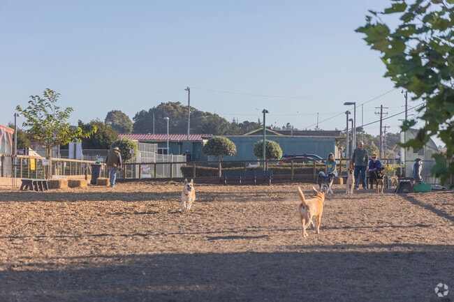 Fort Bragg Dog Park offers a great outdoor dog play area connected to the town's community center.