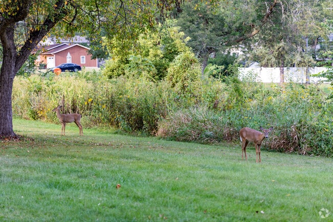 Eastside is a neighborhood close to nature, with abundant natural wildlife.