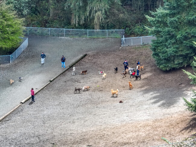Westcrest Park has a vast, expansive off leash area for residents to take their dogs to.