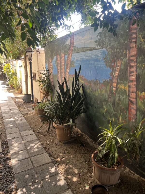 333 N Sycamore Ave unit 3, Los Angeles, CA 90036 - photo 4