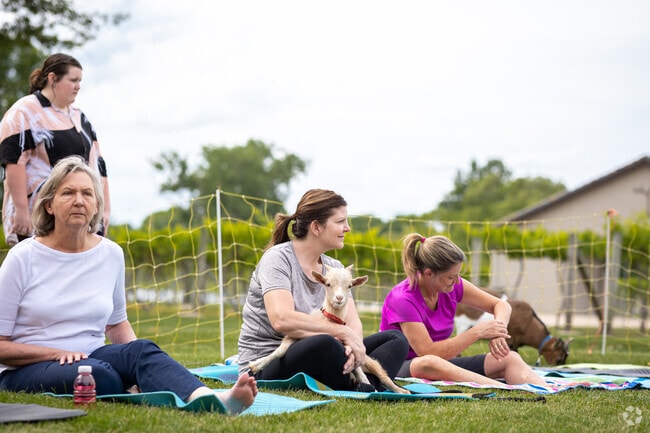 Lee's Summit residents can connect with nature over a goat yoga class.