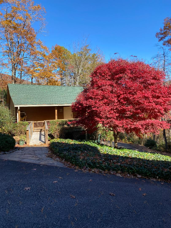 173 Payne Hill Dr, Clayton, GA 30525